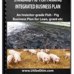 Standard Fish and Pig Farm Integrated Business Plan with 3 Years Financial Analysis
