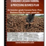 Standard Cassava Farming and Processing Business Plan With 3 Years Financial Analysis