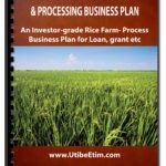 Standard Rice Farming and Processing Business Plan with 3 Years Financial Analysis