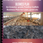 Standard Poultry and Catfish Integrated Business Plan with 3 Years Financial Analysis