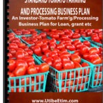 Standard Tomato Farming and Processing Business Plan with 3 Years Financial Analysis