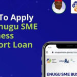 Apply for the Enugu SME Business Support Loan