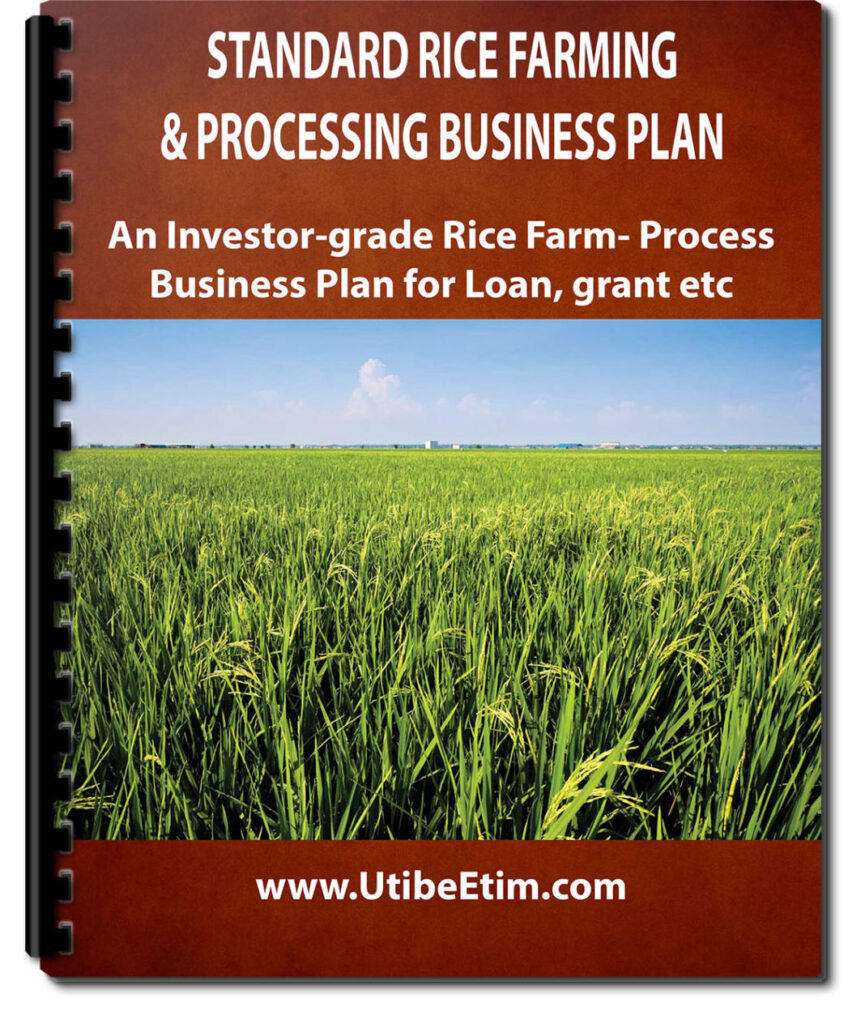 Simple Rice Project Proposal Rice Farming and Processing Business Plan with 3 Years Financial ...