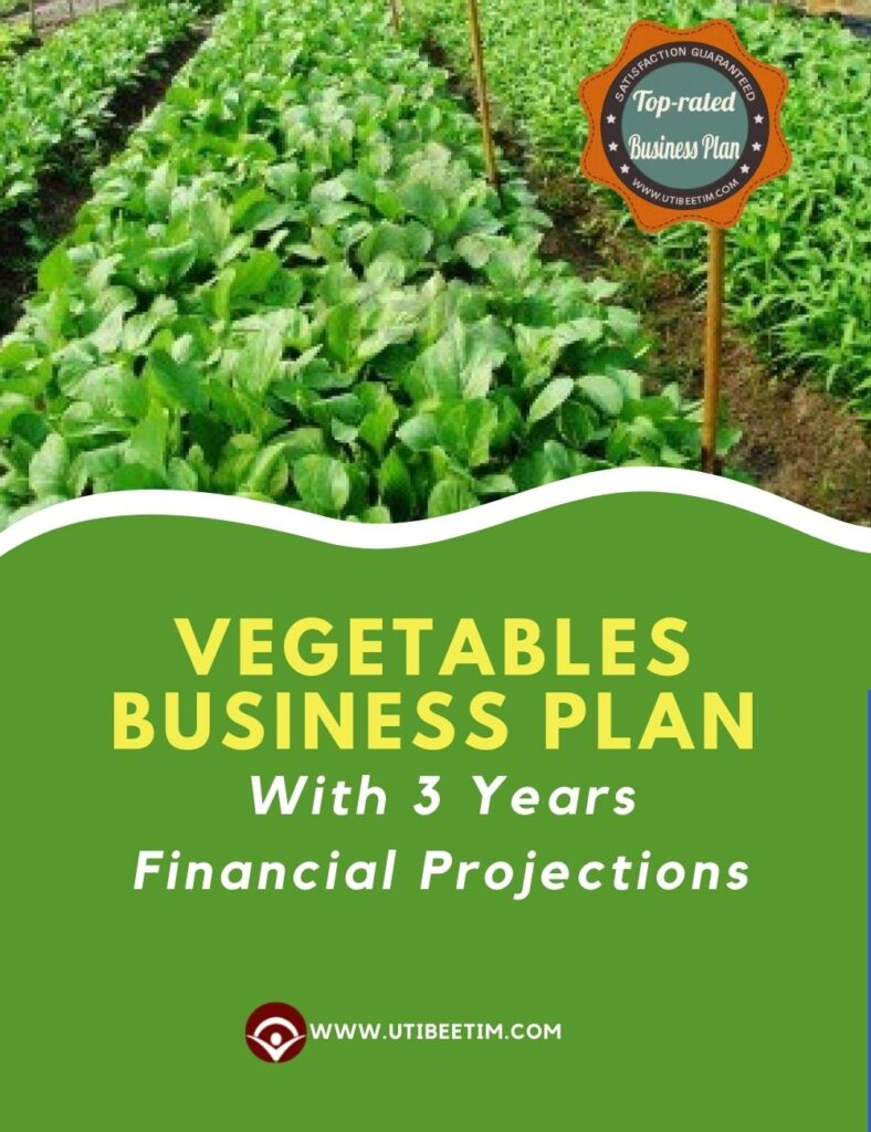 Vegetable business ideas picture
