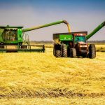 How To Start A Successful Rice Farming In Nigeria and Make Money