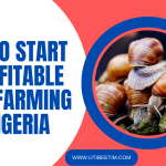 How To Start A Profitable Snail Farming in Nigeria 2024