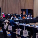 Commonwealth Africa Cyber Fellowship programme.