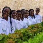 Mastercard Foundation Enterprise for Youth in Agriculture Program