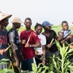 Lagos Agripreneurship Programme for Women and Youths in Agriculture