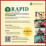 Get Up to N10m From Bank of Industry's RAPID Program