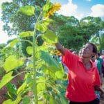 Resilient Agriculture Innovations for Nature (RAIN) Challenge (Up To $50,000)