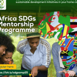 Africa SDGs Mentorship Program (7-month fellowship)