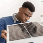  Tony Elumelu Foundation BeGreen Africa Entrepreneurship Program 2025