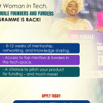 Female Founders & Funders Program 2025 (N1 MILLION Grant)