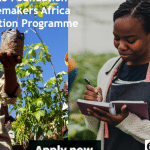 Swiss Re Foundation Changemakers Africa Incubarion Program ($30k Prizes)