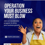 MBN Lab Lagos Business Accelerator Program 2025 ( Funding +Training+ Mentorship)