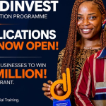 SEEDINVEST Acceleration Program For Nigerian Entrepreneurs (N5 Million Grants & Training)