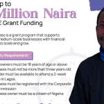 GET Compass Grant Program For MSMEs (Up to 2 Million Naira Grant)