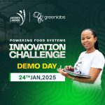 greenlabs Incubation Program 2025 for Young African Innovators