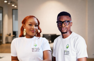 Bridge Seed Global Impact Accelerator Program