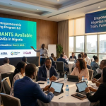 DBN Entrepreneurship Training Program 8.0 for MSMEs In Nigeria (₦100M Grants)