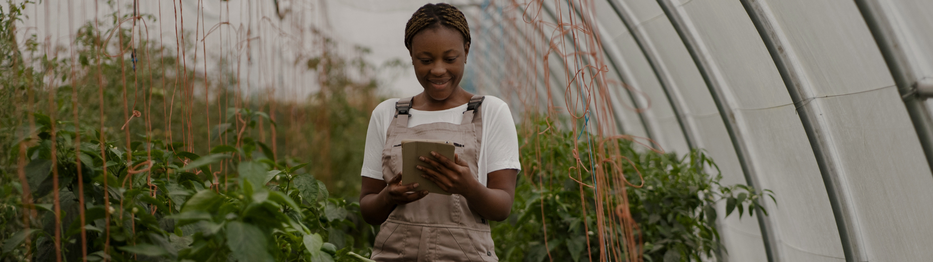 asif-ignite-africa-cohort-1-apply-now-2026