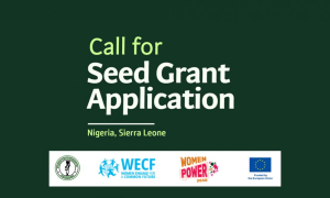 WomenPower2030 Seed Grant for Women-Led Organisations in Nigeria and Sierra Leone