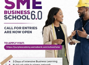 Wema Bank SME Business School