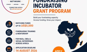 African Fundraising Incubation Program