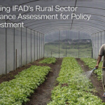 IFAD Grant for Rural Policy and Investment Initiatives 2026: Up to $1.2 Million
