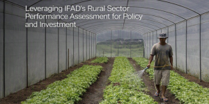 IFAD Grant for Rural Policy and Investment Initiatives