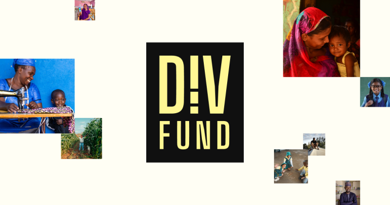 DIV Fund for Startups and Social Enterprises 2026