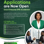 Grow Enterprise Africa (GEA) SME Accelerator Programme 2026 for African Entrepreneurs