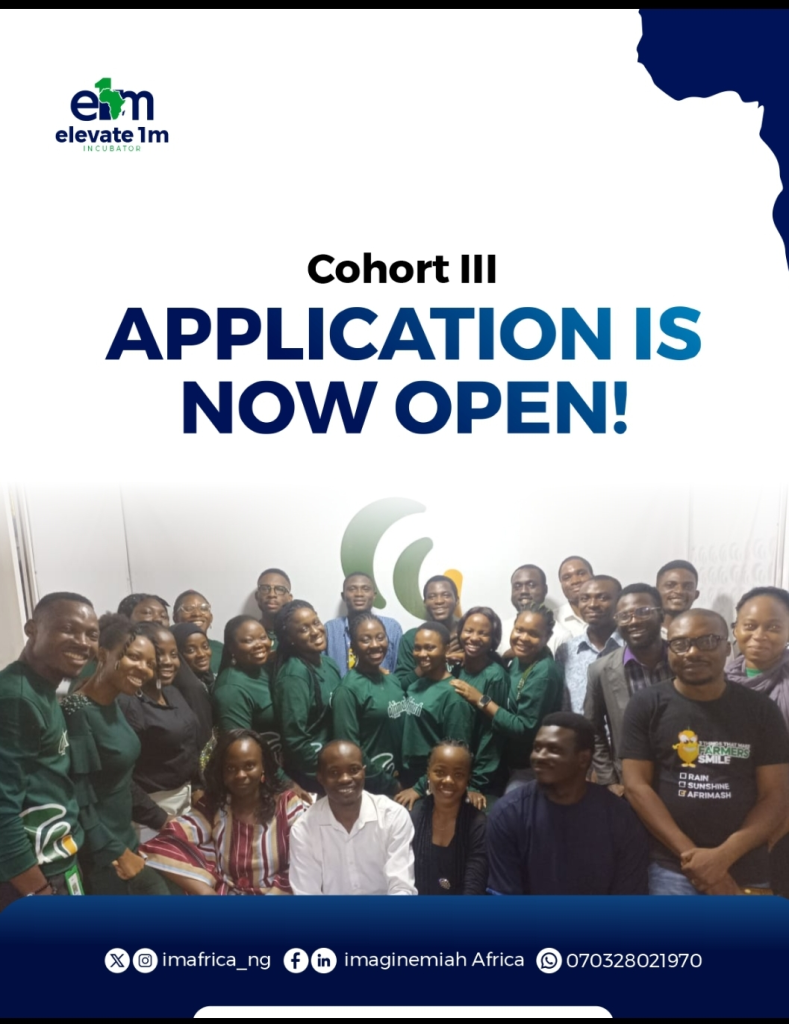 ImagineMiah Africa Elevate1M Incubator