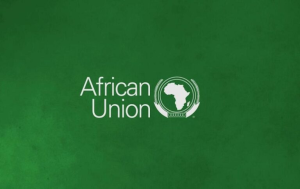 African Union Enterprise Africa Network Fellowship