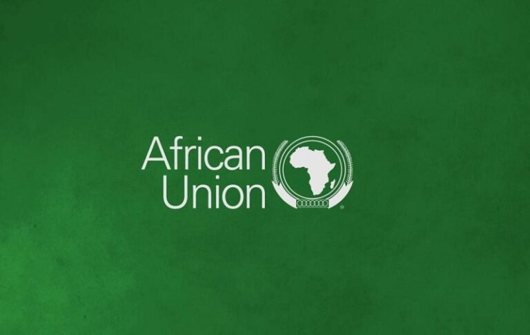 African Union Enterprise Africa Network Fellowship