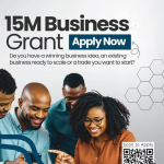 Skyewise Foundation Business Grant 2026: ₦15 Million for Nigerian Entrepreneurs