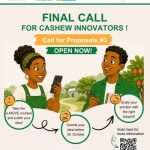 e-MOVE ComCashew 2026: Up to €2,000 Funding for Nigerian Cashew Entrepreneurs