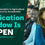 Halcyon Africa Innovation in Agriculture and Food Security Accelerator 2027: $10,000 Equity-Free Stipend for Agritech Founders
